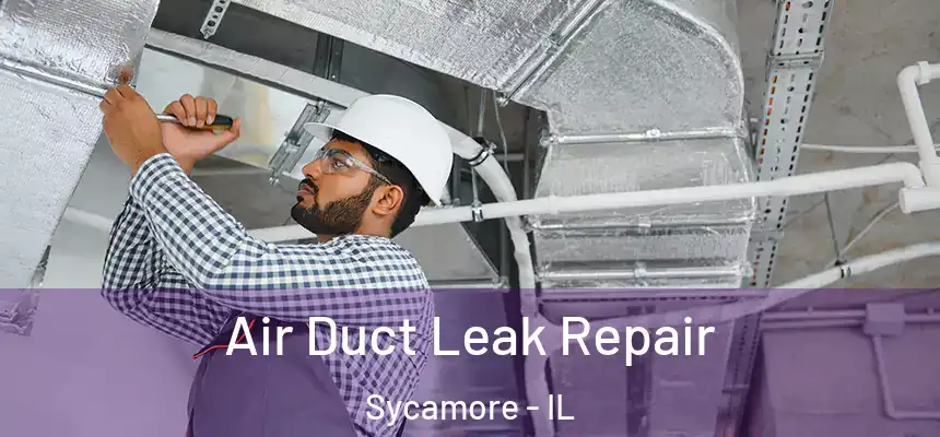  Air Duct Leak Repair Sycamore - IL