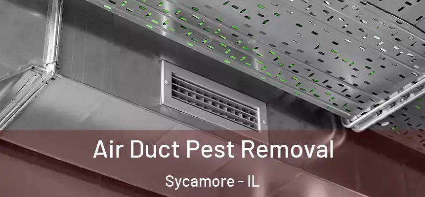  Air Duct Pest Removal Sycamore - IL