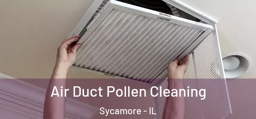  Air Duct Pollen Cleaning Sycamore - IL