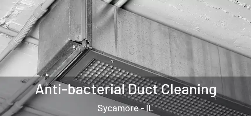  Anti-bacterial Duct Cleaning Sycamore - IL