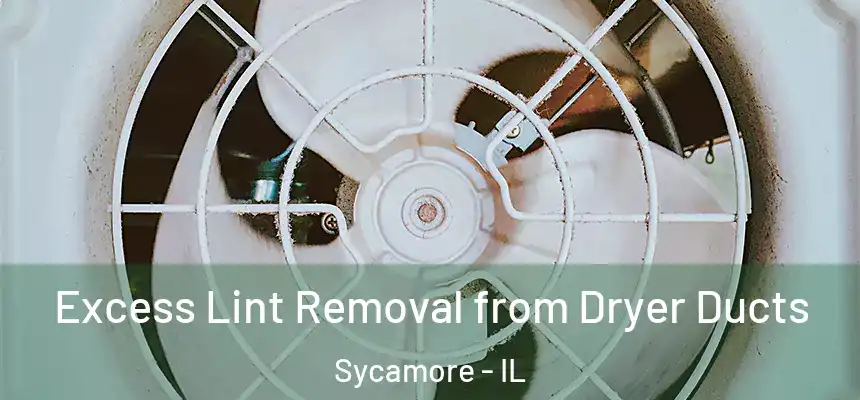  Excess Lint Removal from Dryer Ducts Sycamore - IL