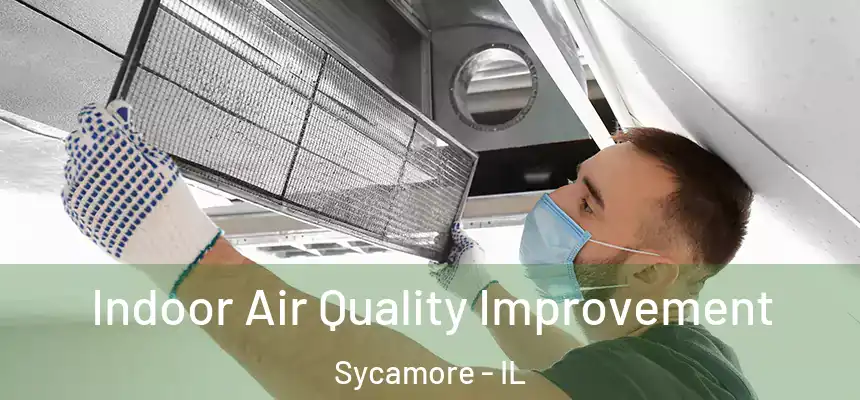  Indoor Air Quality Improvement Sycamore - IL
