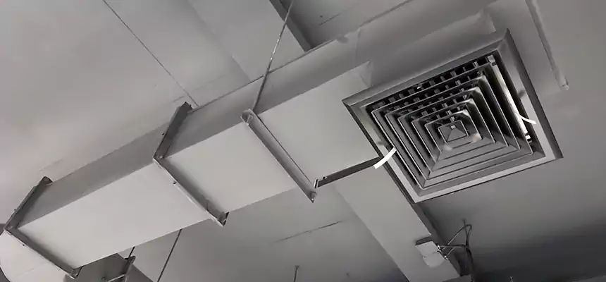 Our Pest Removal From Ducts Services in Sycamore, IL