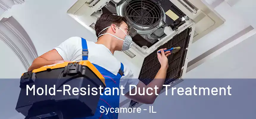  Mold-Resistant Duct Treatment Sycamore - IL