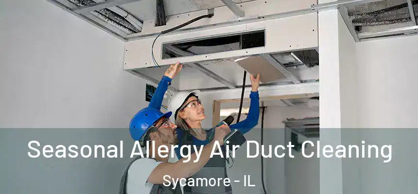  Seasonal Allergy Air Duct Cleaning Sycamore - IL