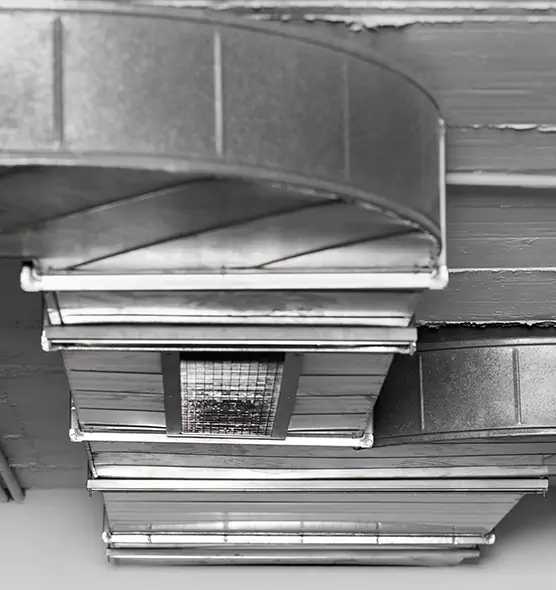 Professional Air Duct Pet Hair Removal in Sycamore, IL