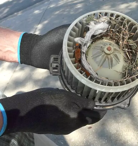 About Air Duct Rat Removal in Sycamore, IL