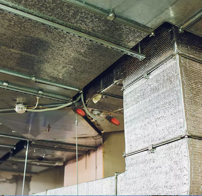 Why Homeowners & Businesses Trust Us in Sycamore, IL?