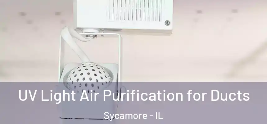  UV Light Air Purification for Ducts Sycamore - IL